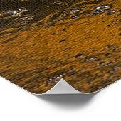 Alligator Sky Poster (Ecke)