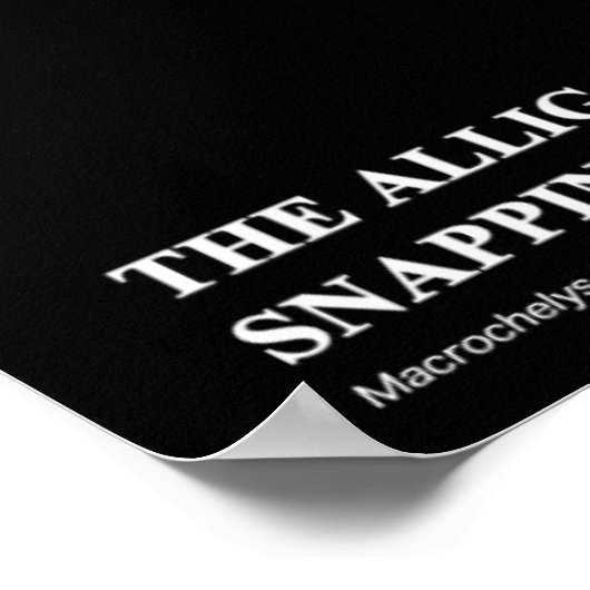 Alligator Snapping Turtleのポスター Poster (Ecke)