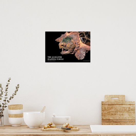 Alligator Snapping Turtleのポスター Poster (Küche)