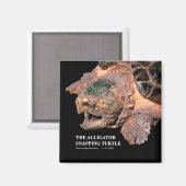 Alligator snapping turtle magnet (Vorderseite/Rückseite)