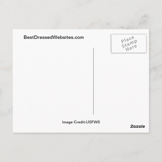 Alligator Snapping Turtle Postkarte (Rückseite)