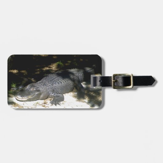 Alligator Sonnenbaden Gepäckanhänger (Vorderseite horizontal)
