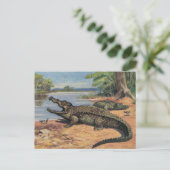 Alligator-Strand Postkarte (Stehend Vorderseite)