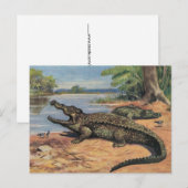 Alligator-Strand Postkarte (Vorne/Hinten)