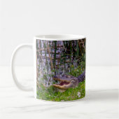 Alligator Sumpf Feuchtgebiete Florida Foto Kaffeetasse (Links)