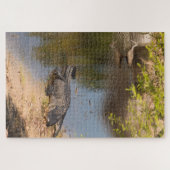 Alligator und Carrao-Vogel in Florida-Feuchtgebiet Puzzle (Horizontal)