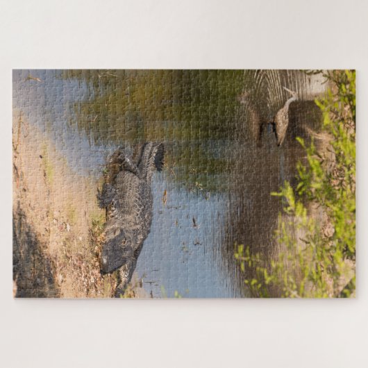 Alligator und Carrao-Vogel in Florida-Feuchtgebiet Puzzle (Horizontal)