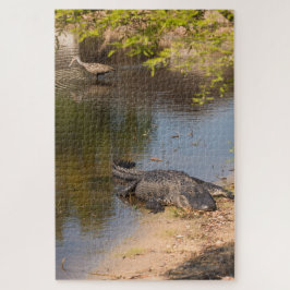Alligator und Carrao-Vogel in Florida-Feuchtgebiet Puzzle