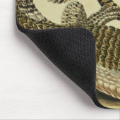 Alligator und Schlange, 1730 (farbiger Stich) Mousepad (Ecke)