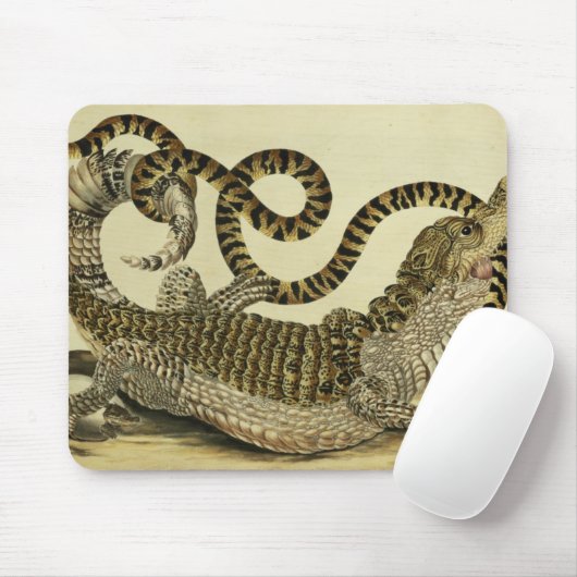 Alligator und Schlange, 1730 (farbiger Stich) Mousepad (Mit Mouse)