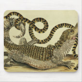 Alligator und Schlange, 1730 (farbiger Stich) Mousepad (Vorne)
