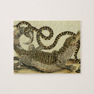 Alligator und Schlange, 1730 (farbiger Stich) Puzzle