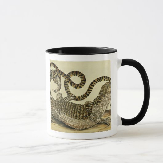 Alligator und Schlange, 1730 (farbiger Stich) Tasse (Rechts)