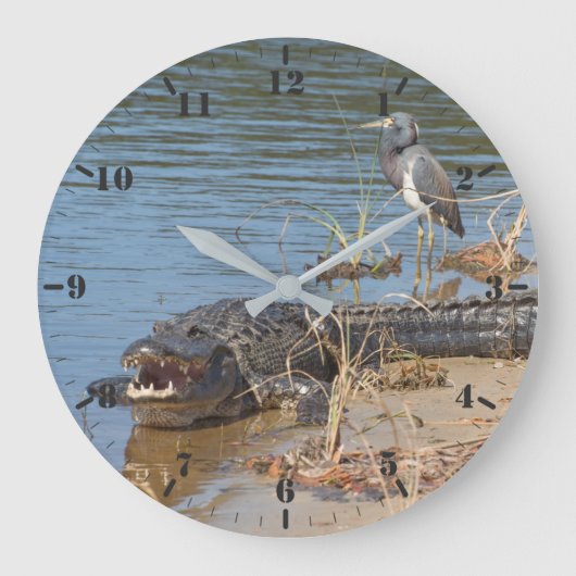 Alligator und Trikolon Große Wanduhr (Vorderseite)