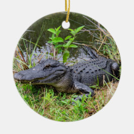 Alligator und Verzierung des rosa Spoonbill Keramik Ornament