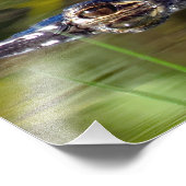 Alligator unter Wasser Fotodruck (Ecke)