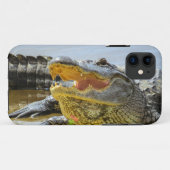 Alligator. Vertraulich Case-Mate iPhone Hülle (Rückseite (Horizontal))