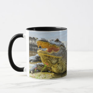 Alligator. Vertraulich. Tasse