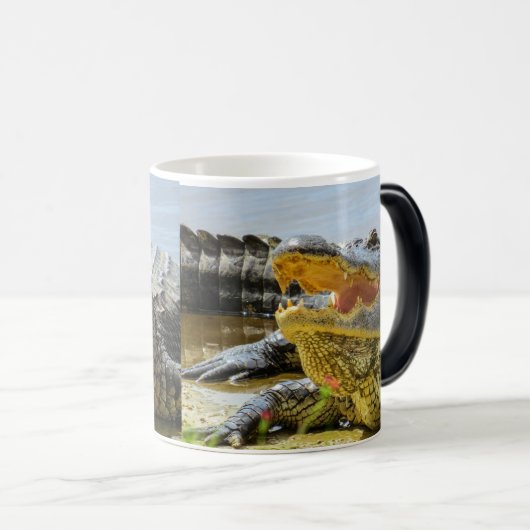 Alligator. Vertraulich Verwandlungstasse (VorderseiteRechts)