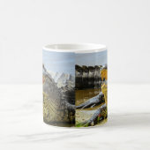 Alligator. Vertraulich Verwandlungstasse (Mittel)