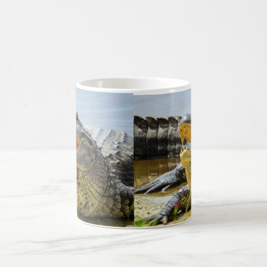 Alligator. Vertraulich Verwandlungstasse (Mittel)