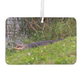 Alligator Viera Wetlands Florida Foto Autolufterfrischer (Rückseite)