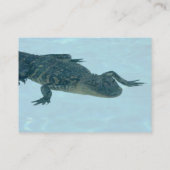 Alligator-Visitenkarte Visitenkarte (Rückseite)