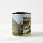Alligator. Von Angesicht zu Angesicht. Tasse (Zentrum)