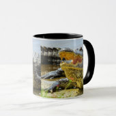 Alligator. Von Angesicht zu Angesicht. Tasse (VorderseiteRechts)