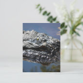 Alligator von North Carolina Postkarte (Stehend Vorderseite)