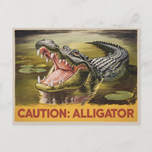 Alligator Vorsicht Illustration Vintag Inspiriert Postkarte