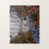 Alligator - Vorsicht! Puzzle (Vertikal)