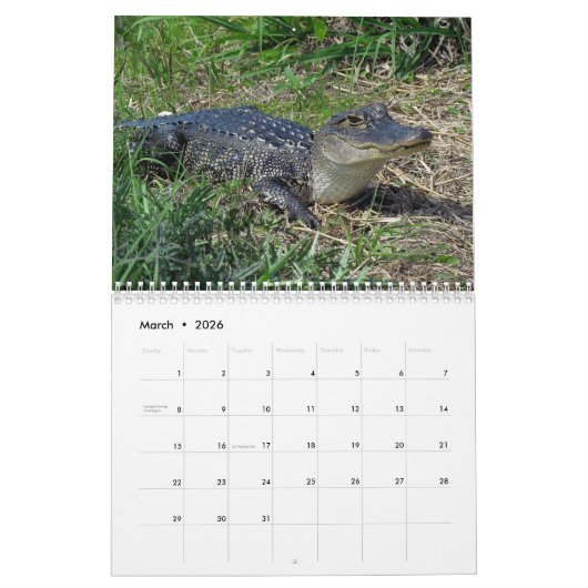 Alligator Wall Calendar Kalender (Mär 2026)