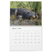 Alligator Wall Calendar Kalender (Feb 2026)