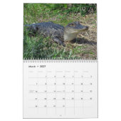 Alligator Wall Calendar Kalender (Mär 2027)