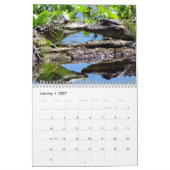 Alligator Wall Calendar Kalender (Jan 2027)