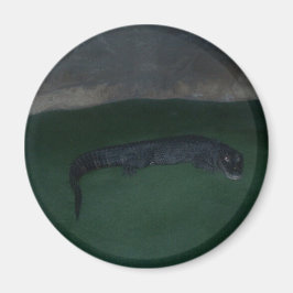 Alligator ~ Was ist im Dunkeln? Magnet