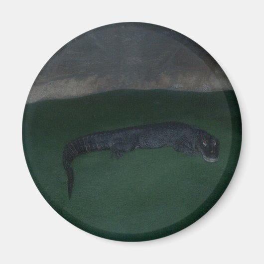 Alligator ~ Was ist im Dunkeln? Magnet (Vorne)