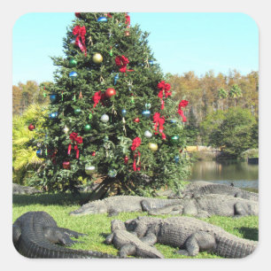 Alligator Weihnachtskleber Quadratischer Aufkleber
