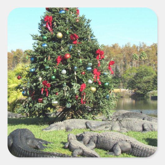 Alligator Weihnachtskleber Quadratischer Aufkleber (Vorderseite)