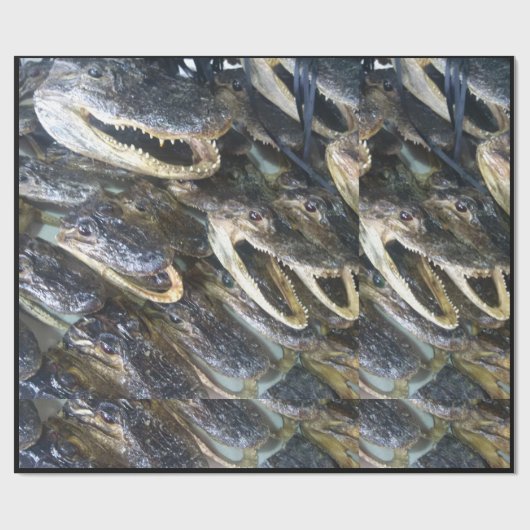 Alligator-Wrapping-Papier Geschenkpapier (Flach)