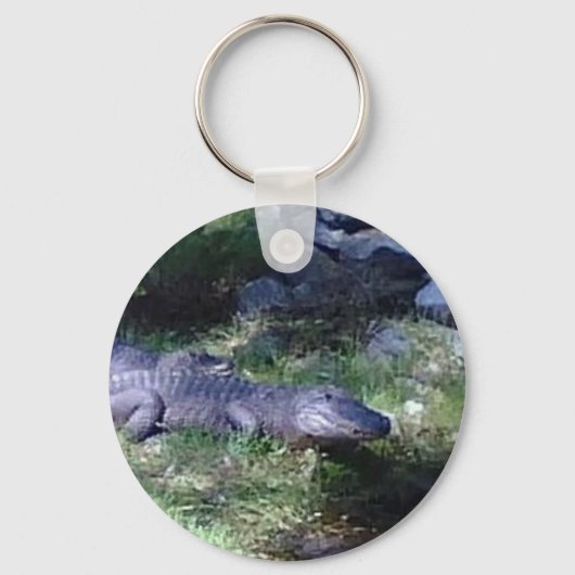 Alligator! Zootiere Schlüsselanhänger (Vorderseite)