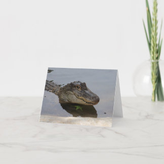 Alligatoranmerkungs-Karte Karte