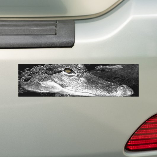 Alligatoraufkleber Autoaufkleber (Auf Auto)