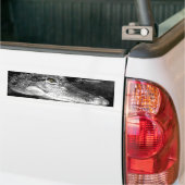 Alligatoraufkleber Autoaufkleber (Auf Lkw)