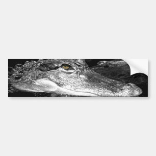 Alligatoraufkleber Autoaufkleber