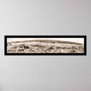 Alligatorbauernhof-Florida-Foto 1910 Poster