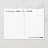 Alligatoren #5 postkarte (Rückseite)