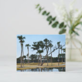 Alligatoren auf dem Golfplatz Osprey Point Postkarte (Stehend Vorderseite)