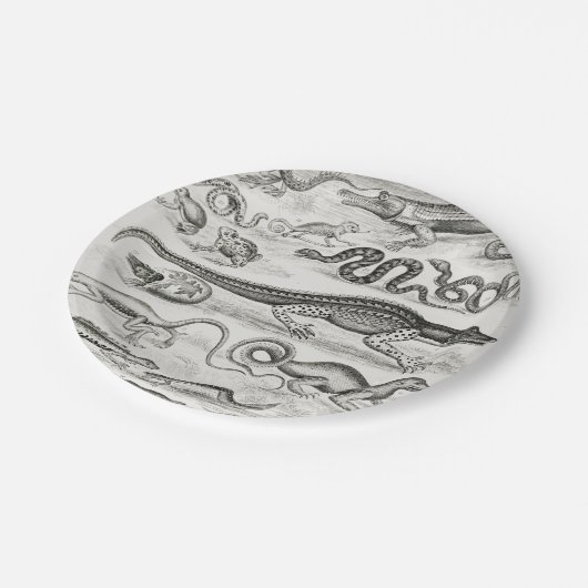 Alligatoren für Schwarzweißschildkröten Pappteller (Schrägansicht)